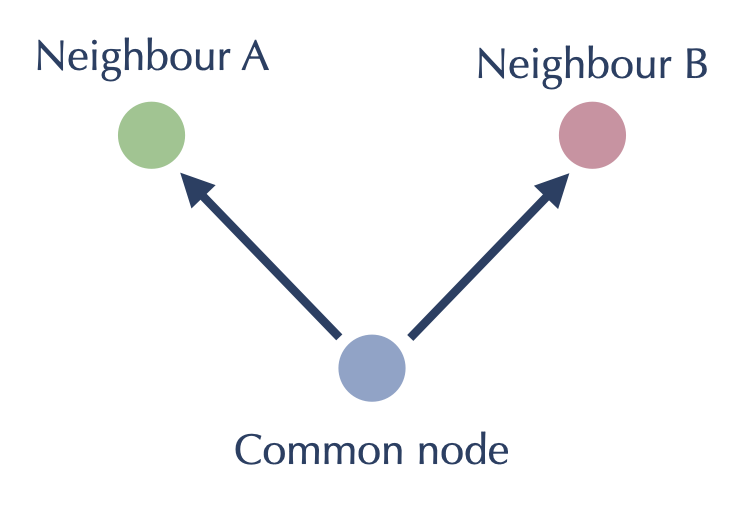 Neighbors of a common node